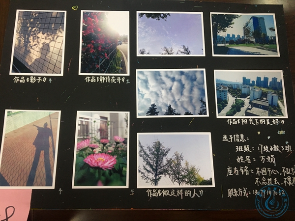 参赛作品 参赛作品